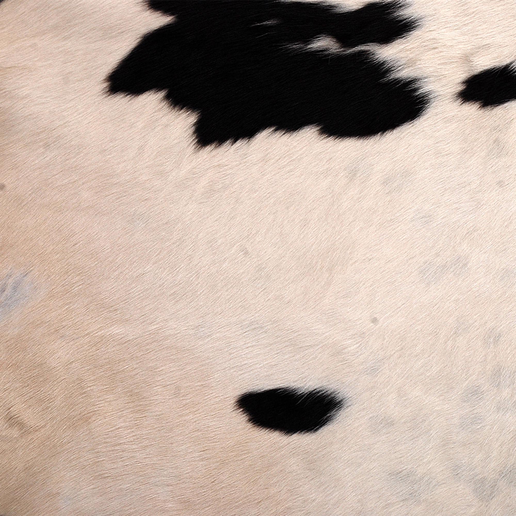 Luxury Brown & White Cowhide Rug for Bedroom - Living Room - Hypoallergenic, Non-Slip Suede Back, Non-Shedding - Free Shipping Across UK!