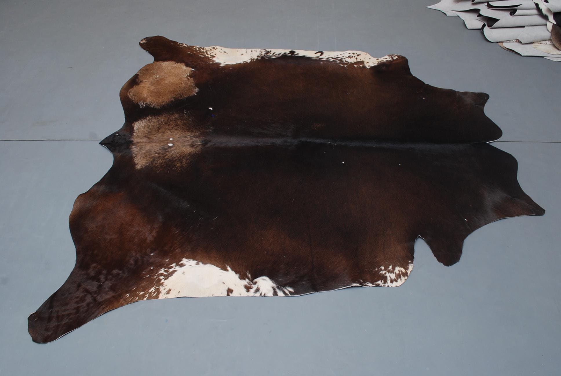 Luxurious Large Brown and White Cowhide Rug - Hypoallergenic, Non-Slip, Non-Shedding - Free Shipping Across UK - Soft, Natural Hair Rug - Celestial Leather Limited