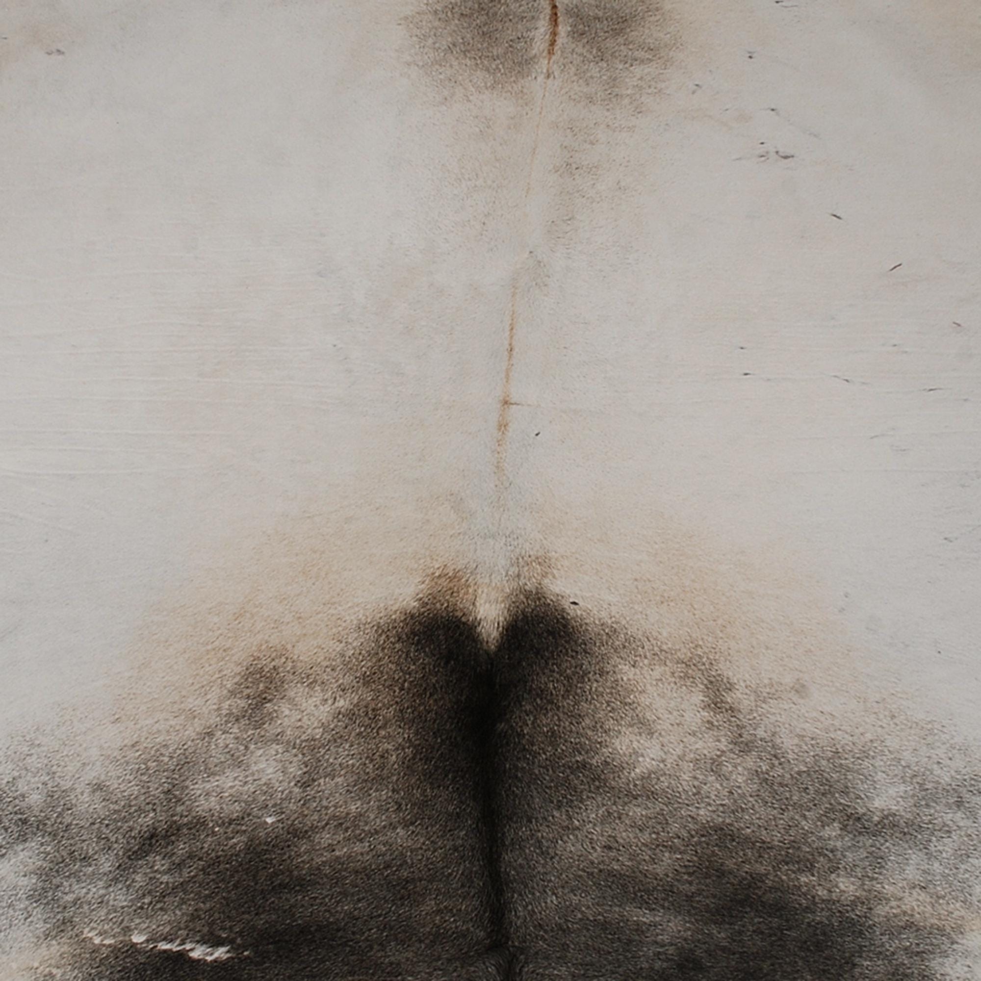 Luxurious Large Brown & White Cowhide Rug | Soft Hair Animal Pattern | Hypoallergenic, Non-Slip, Non-Shedding | Top Quality - Elegant Decor - Celestial Leather Limited