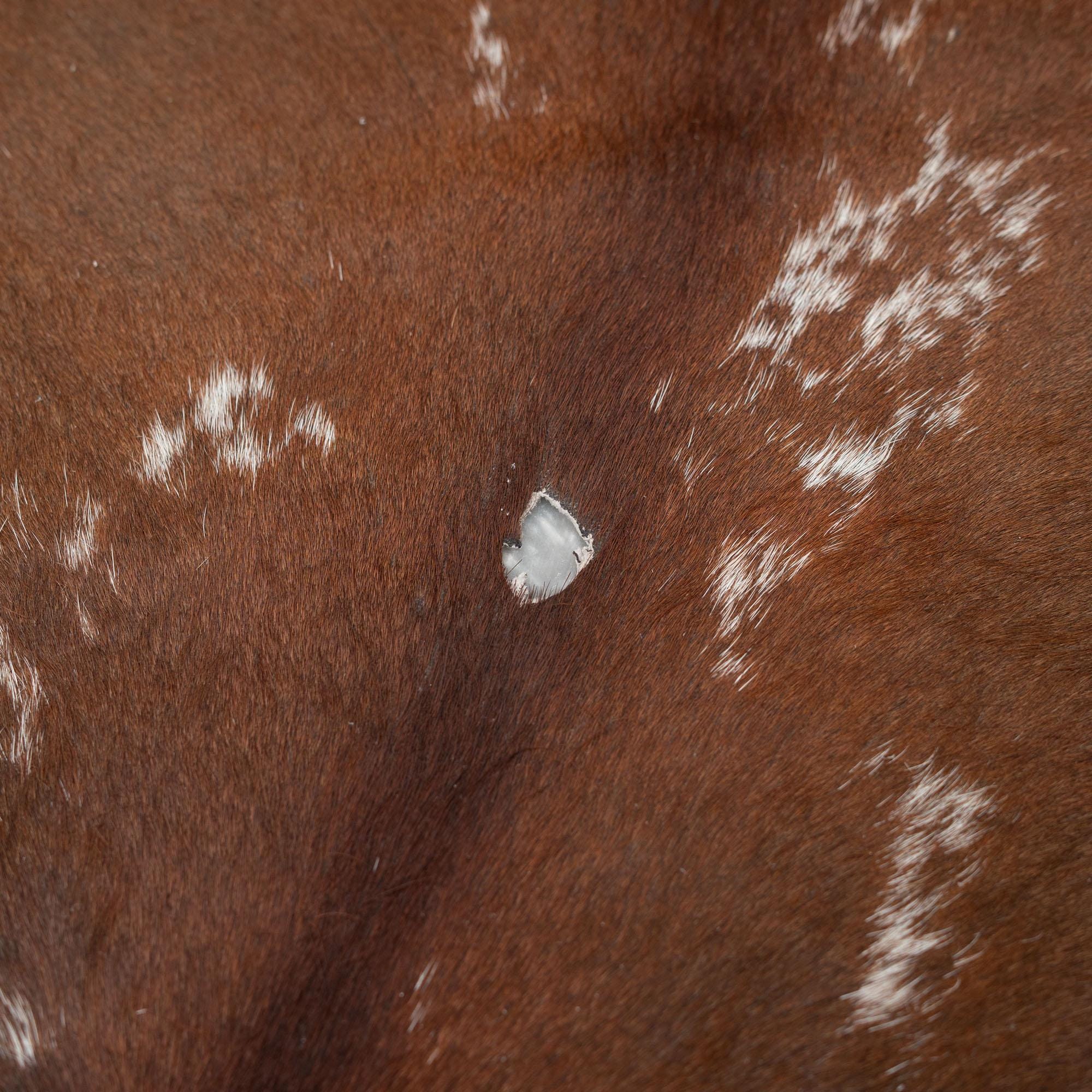 Luxurious Brown & White Cowhide Rug | Large Size for Elegant Home Decor - Hypoallergenic, Non-Slip, Non-Shedding - Free Shipping across UK - Celestial Leather Limited