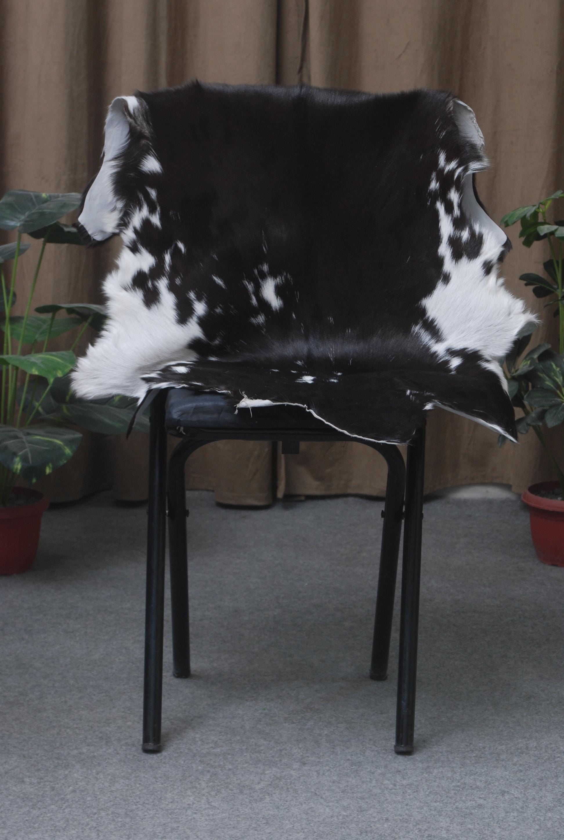 Striped Goat Skin Throw Rug - Genuine Black & White Animal Skin Goathide - Natural - Non-slippery Back - Hypoallergenic - Sustainable - Celestial Leather Limited