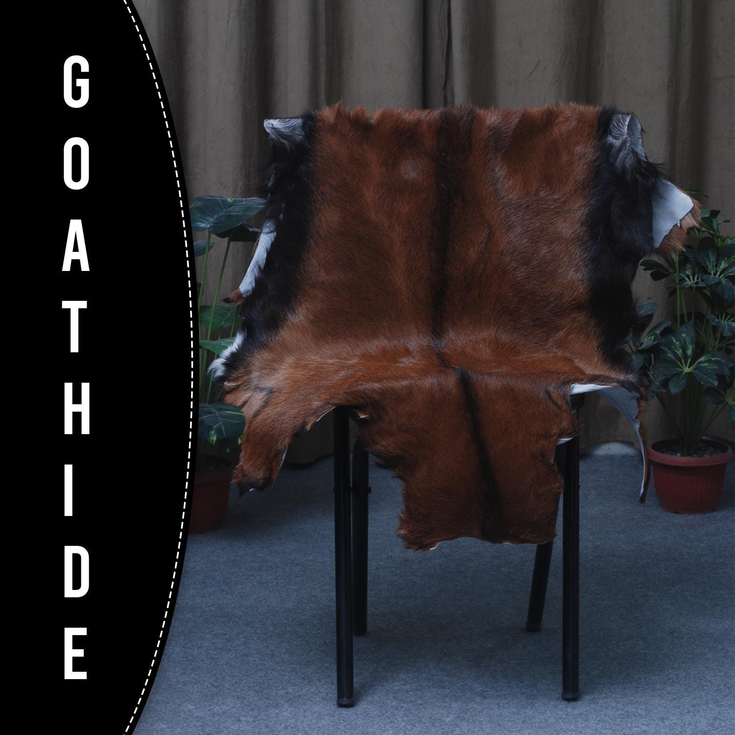 Goat Skin Rug, Goat skin rug ikea, Long Haired Goat Skin Rug, Goat skin rug amazon, Goat skin rug for sale, Best goat skin rug, Goat skin leather, Goat skin rug ikea review, Best goat rug, Fur Rug, Large goat rug ikea, Goat rug ikea price, White goat skin rug ikea, Goat rug ikea, Goat rug amazon, Long Haired Goat Skin Rug, Goat rug for sale