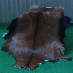 Goat Skin Rug, Goat skin rug ikea, Long Haired Goat Skin Rug, Goat skin rug amazon, Goat skin rug for sale, Best goat skin rug, Goat skin leather, Goat skin rug ikea review, Best goat rug, Fur Rug, Large goat rug ikea, Goat rug ikea price, White goat skin rug ikea, Goat rug ikea, Goat rug amazon, Long Haired Goat Skin Rug, Goat rug for sale