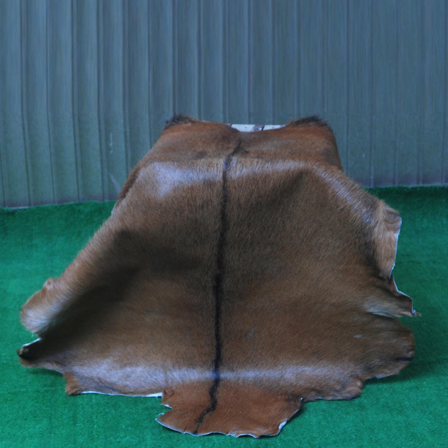 Luxurious Brown and White Goat Skin Rug - Handpicked Premium Goat Hide - Unique Patterns & Colors - Hypoallergenic - Non-Shedding - Celestial Leather Limited