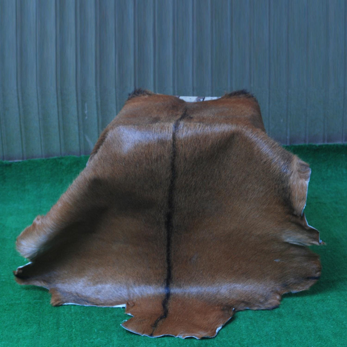 Luxurious Brown and White Goat Skin Rug - Handpicked Premium Goat Hide - Unique Patterns & Colors - Hypoallergenic - Non-Shedding - Celestial Leather Limited