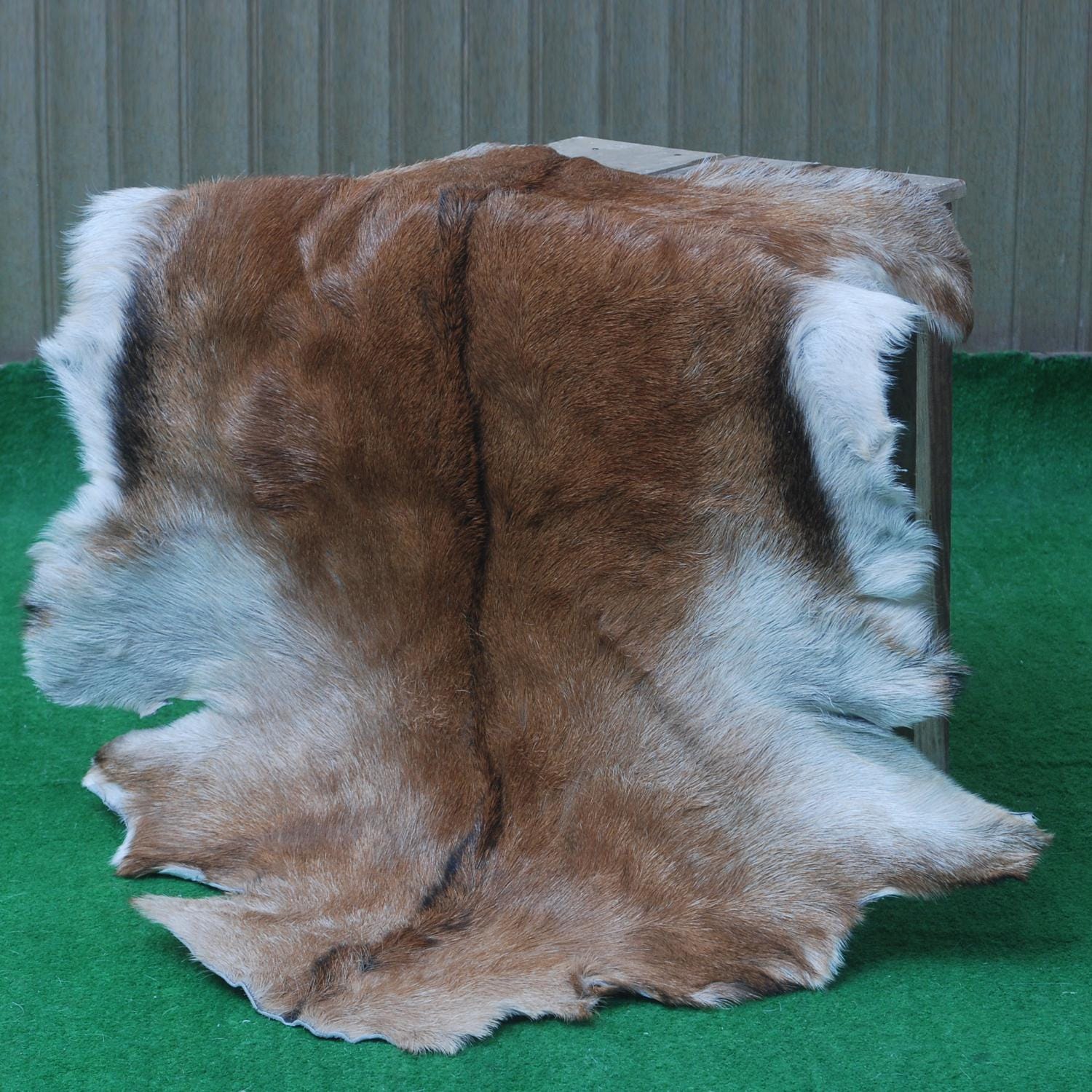 Luxurious Multicolor Goat Skin Rug - Handmade, Soft, Non-Shedding, Hypoallergenic, Sustainable & Eco-Friendly - Unique Statement Piece - Celestial Leather Limited