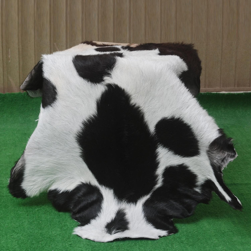 Goat Skin Rug, Goat skin rug ikea, Long Haired Goat Skin Rug, Goat skin rug amazon, Goat skin rug for sale, Best goat skin rug, Goat skin leather, Goat skin rug ikea review, Best goat rug, Fur Rug, Large goat rug ikea, Goat rug ikea price, White goat skin rug ikea, Goat rug ikea, Goat rug amazon, Long Haired Goat Skin Rug, Goat rug for sale