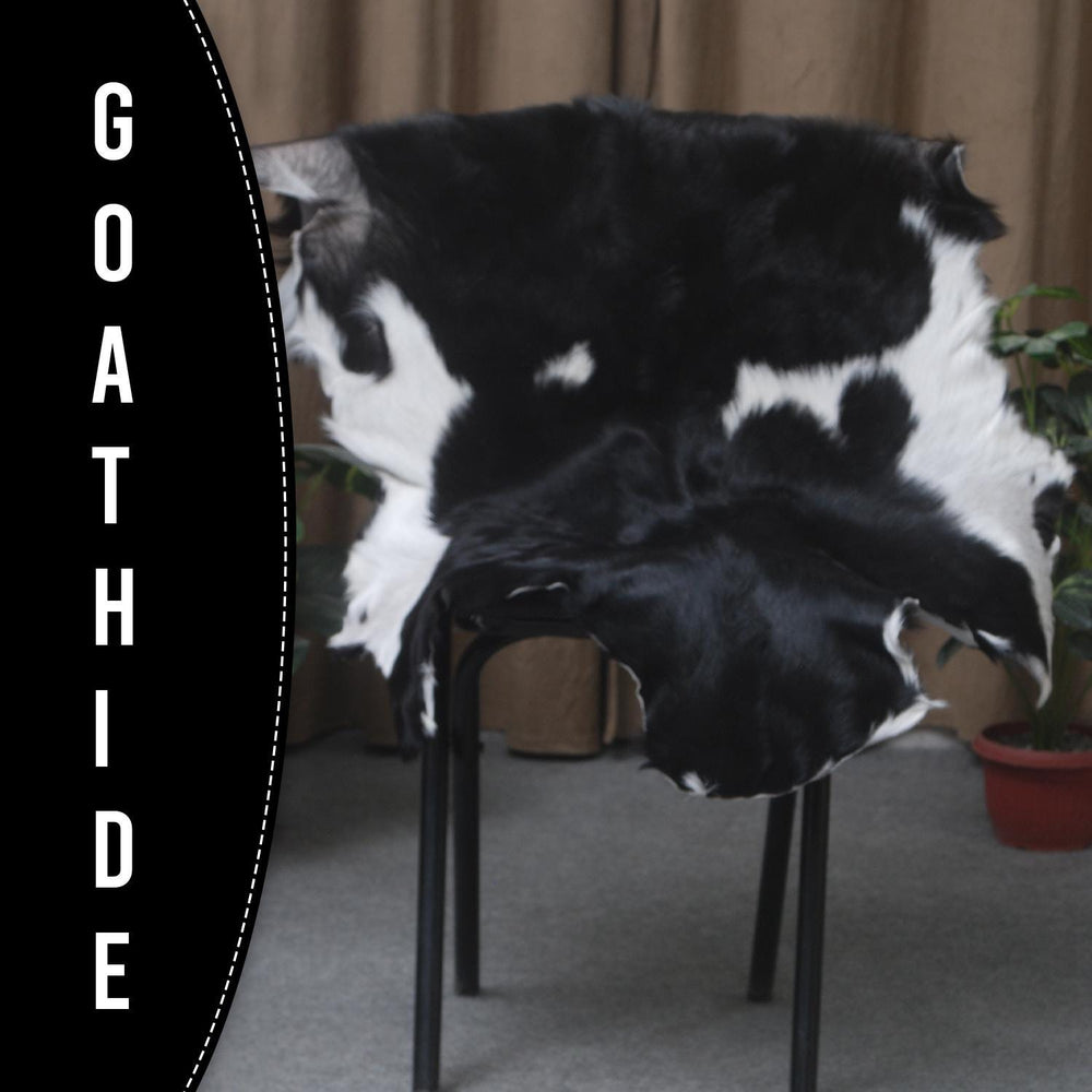 Goat Skin Rug, Goat skin rug ikea, Long Haired Goat Skin Rug, Goat skin rug amazon, Goat skin rug for sale, Best goat skin rug, Goat skin leather, Goat skin rug ikea review, Best goat rug, Fur Rug, Large goat rug ikea, Goat rug ikea price, White goat skin rug ikea, Goat rug ikea, Goat rug amazon, Long Haired Goat Skin Rug, Goat rug for sale