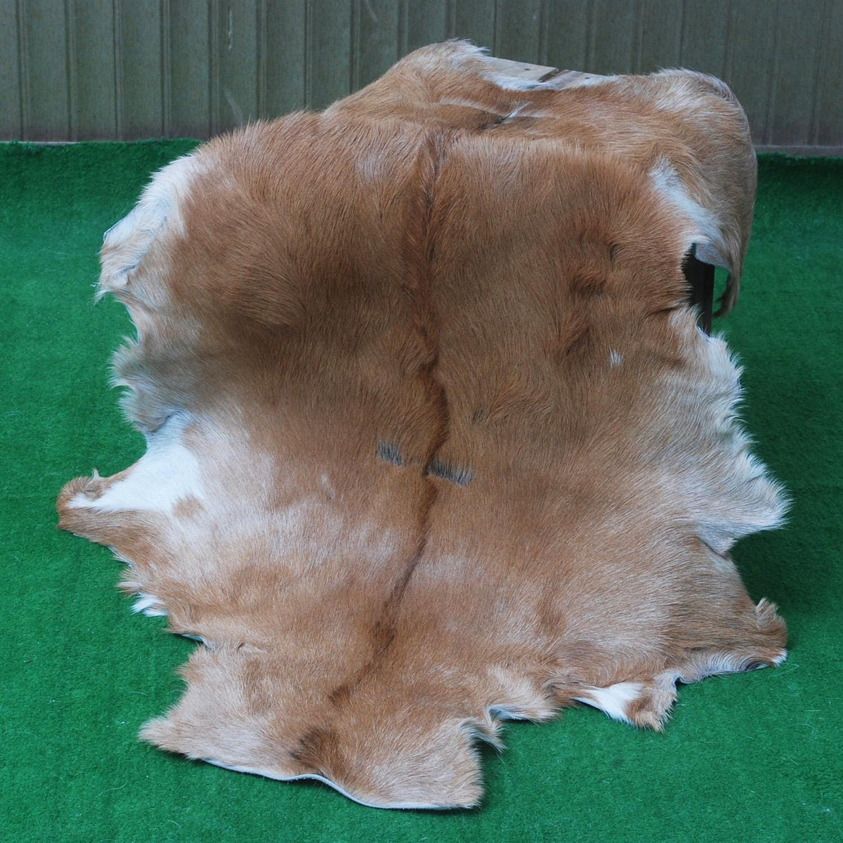 Luxurious Brown and White Goat Hide Rug - Premium Hair-On Goat Skin Rug, Sustainable Eco-Friendly Decor for Any Room