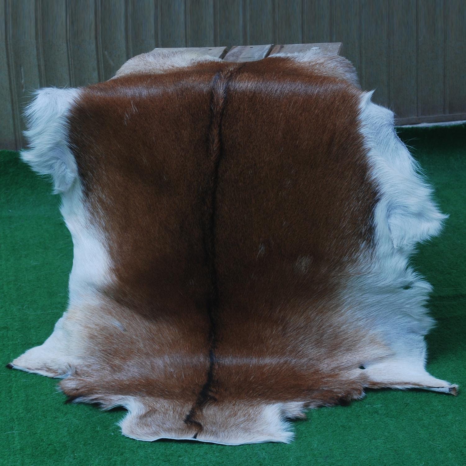 Luxurious Dark Brown & White Goat Skin Rug - Handmade Eco-Friendly Natural Goat Skin Floor Rug with Unique Colour Variations & Soft Texture