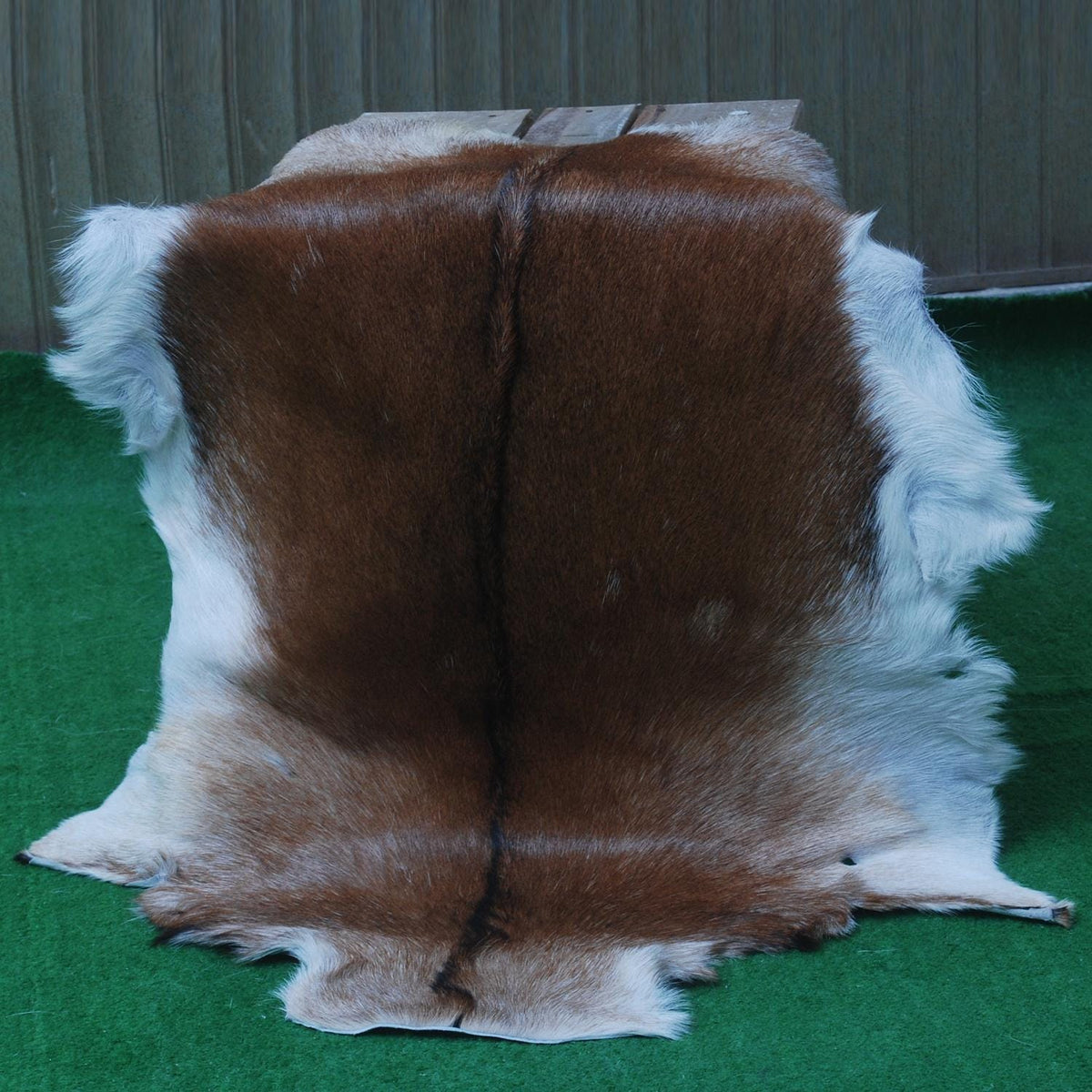 Luxurious Dark Brown & White Goat Skin Rug - Handmade Eco-Friendly Natural Goat Skin Floor Rug with Unique Colour Variations & Soft Texture