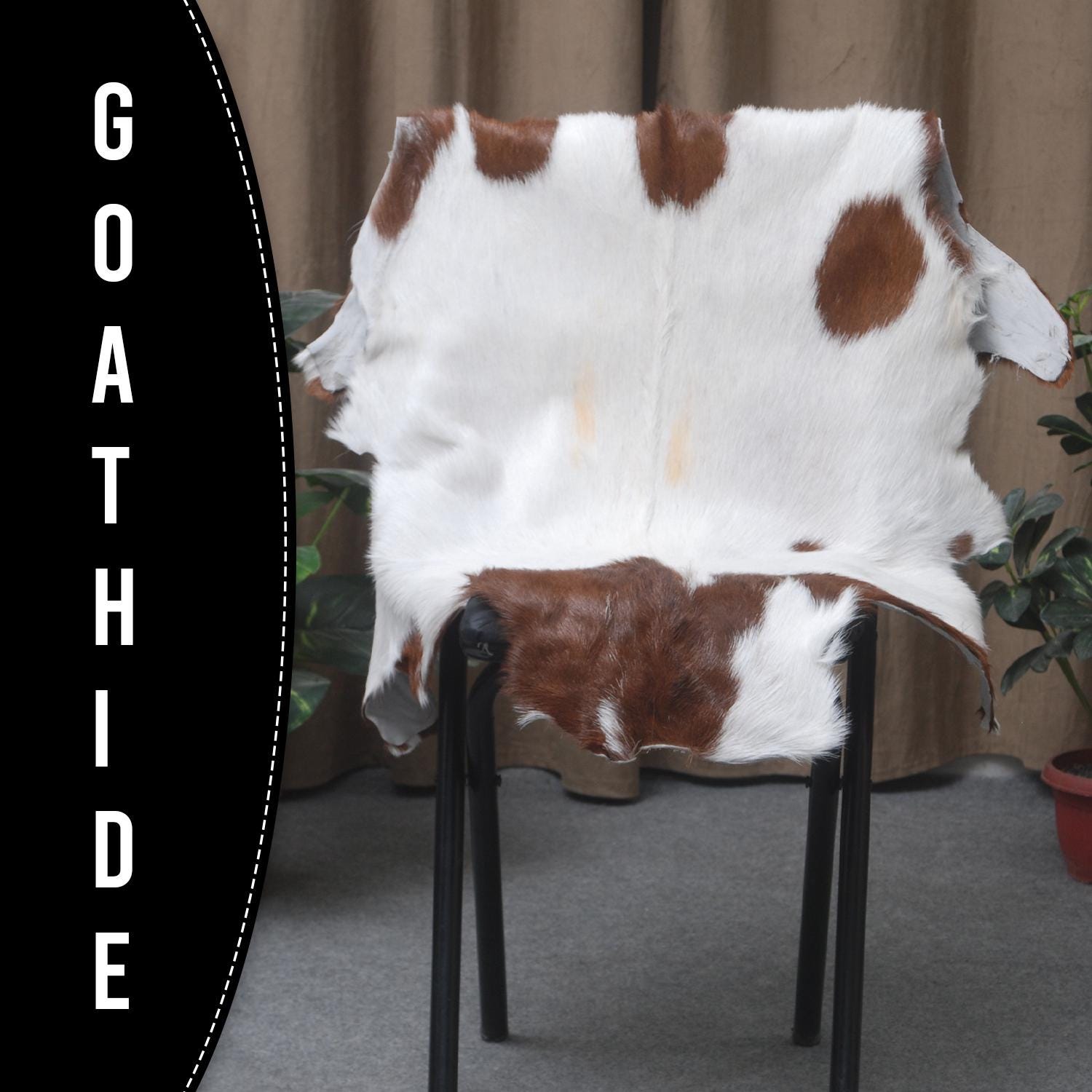 Goat Skin Rug, Goat skin rug ikea, Long Haired Goat Skin Rug, Goat skin rug amazon, Goat skin rug for sale, Best goat skin rug, Goat skin leather, Goat skin rug ikea review, Best goat rug, Fur Rug, Large goat rug ikea, Goat rug ikea price, White goat skin rug ikea, Goat rug ikea, Goat rug amazon, Long Haired Goat Skin Rug, Goat rug for sale