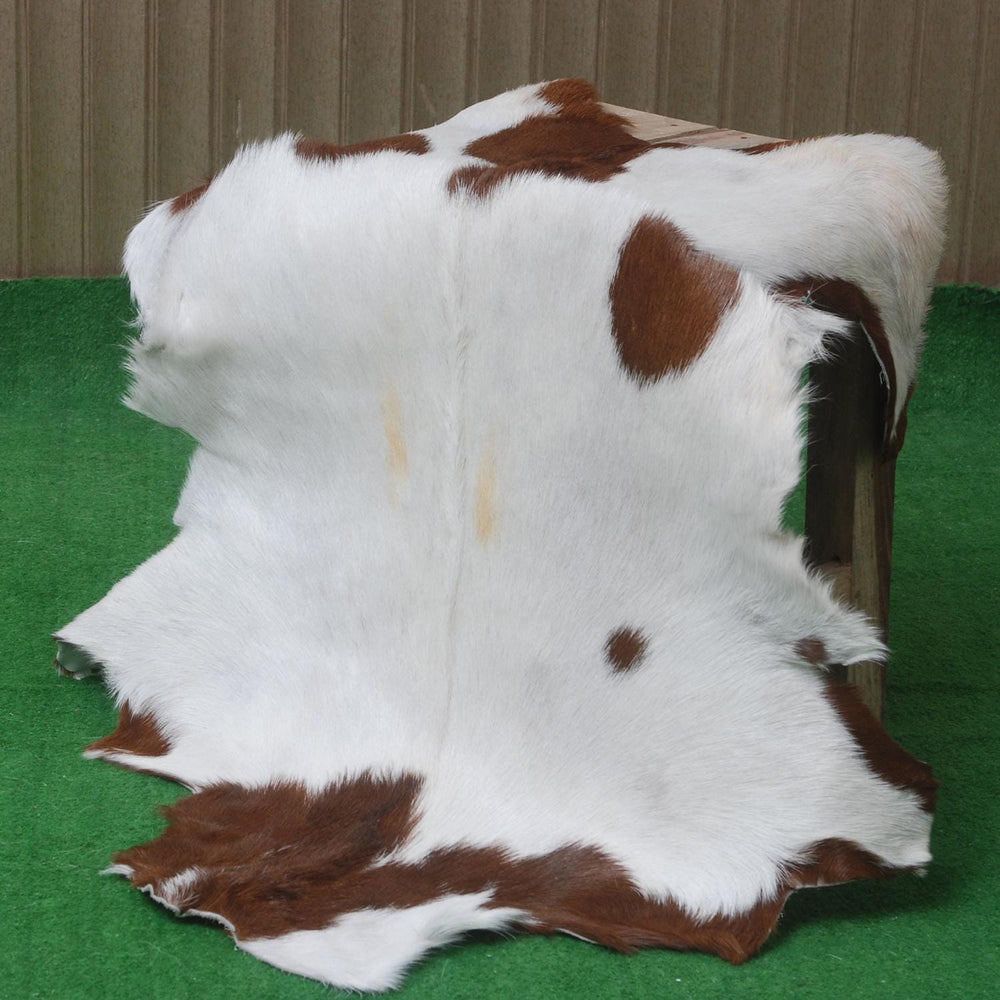 Goat Skin Rug, Goat skin rug ikea, Long Haired Goat Skin Rug, Goat skin rug amazon, Goat skin rug for sale, Best goat skin rug, Goat skin leather, Goat skin rug ikea review, Best goat rug, Fur Rug, Large goat rug ikea, Goat rug ikea price, White goat skin rug ikea, Goat rug ikea, Goat rug amazon, Long Haired Goat Skin Rug, Goat rug for sale