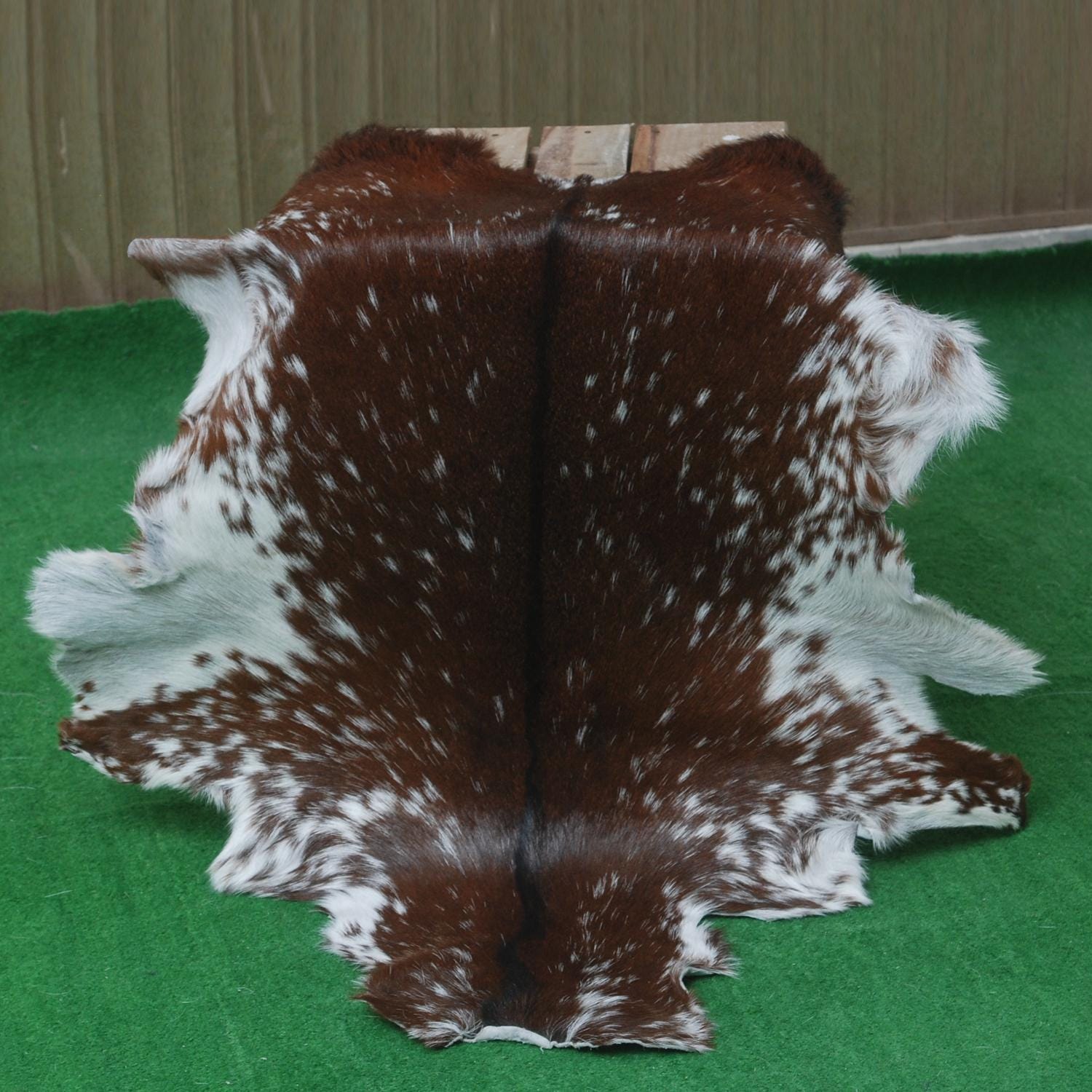 Luxury Brown & White Goat Skin Rug - Premium Hair-On Hide Rug with Unique Patterns, Non-Slip Suede Back, Sustainable - Eco-Friendly